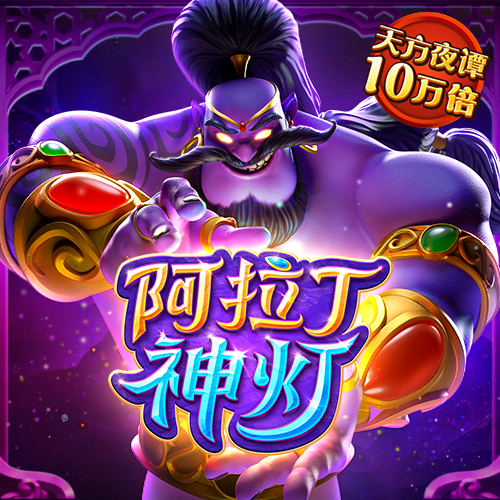 24小时精准计划网页版